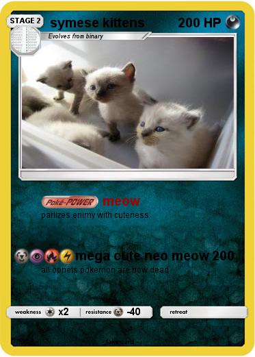 Pokemon symese kittens
