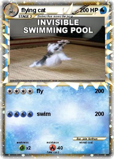 Pokemon flying cat