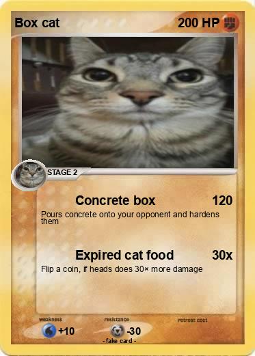 Pokemon Box cat
