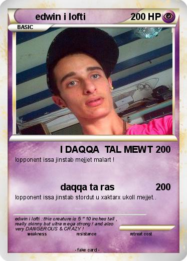 Pokemon edwin i lofti