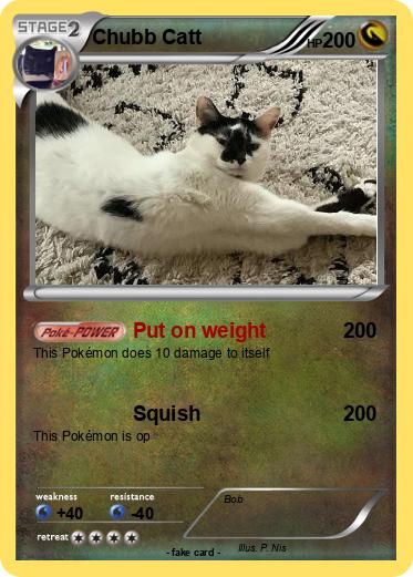 Pokemon Chubb Catt
