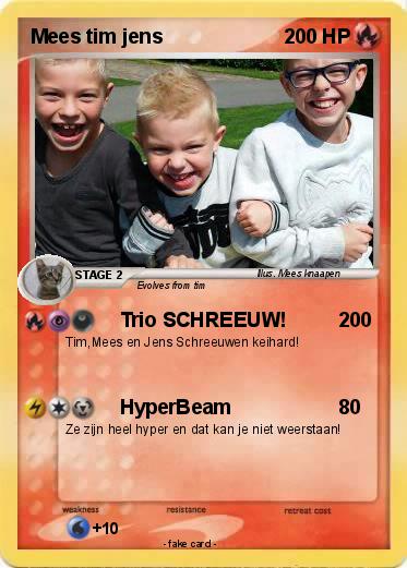 Pokemon Mees tim jens