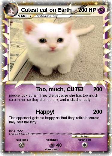 Pokemon Cutest cat on Earth