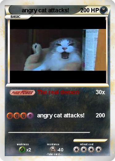 Pokemon angry cat attacks!