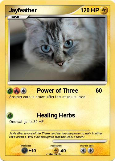 Pokemon Jayfeather