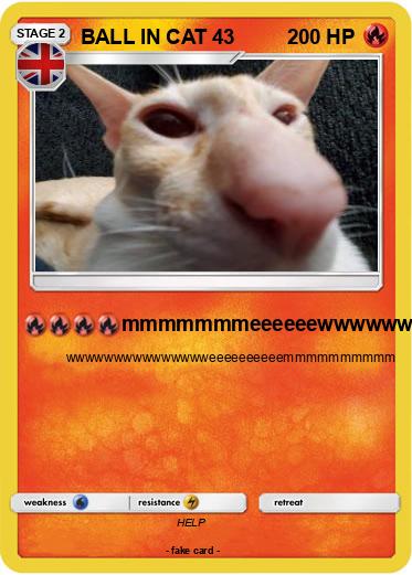 Pokemon BALL IN CAT 43