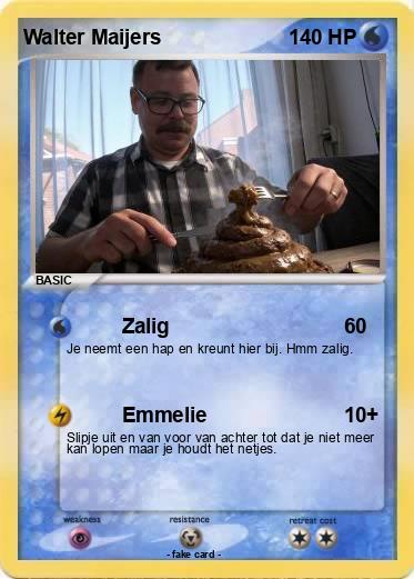 Pokemon Walter Maijers