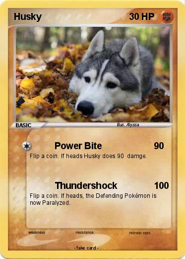 Pokemon Husky