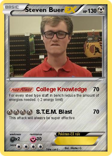 Pokemon Steven Buer