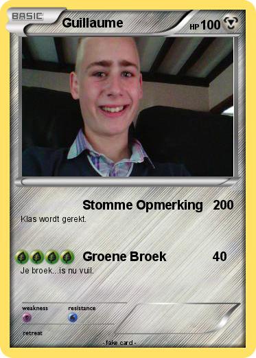 Pokemon Guillaume