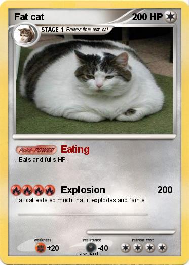 Pokemon Fat cat