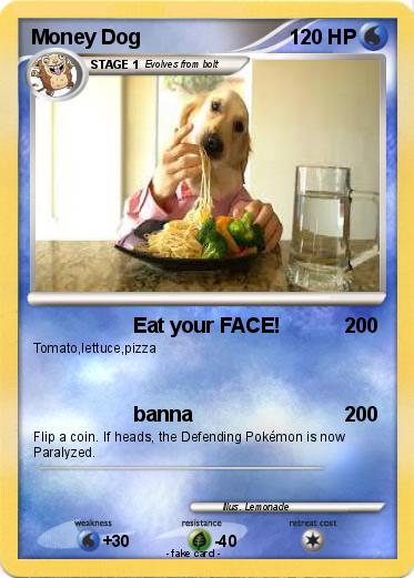 Pokemon Money Dog