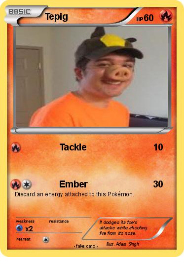 Pokemon Tepig