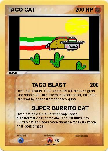 Pokemon TACO CAT
