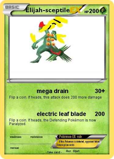 Pokemon Elijah-sceptile