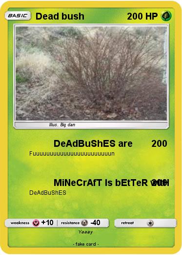 Pokemon Dead bush