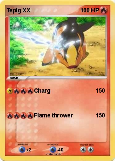 Pokemon Tepig XX