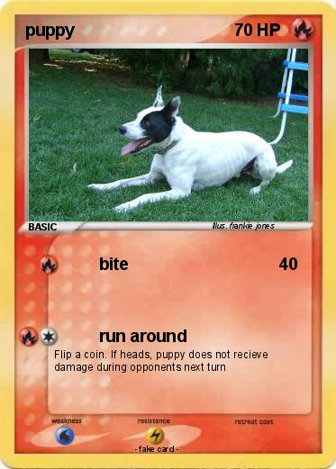 Pokemon puppy