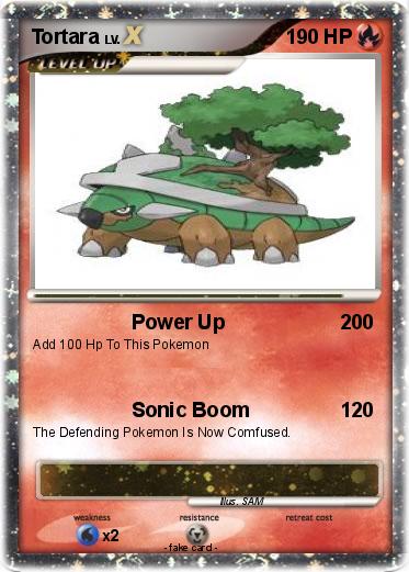 Pokemon Tortara