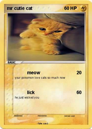 Pokemon mr cutie cat