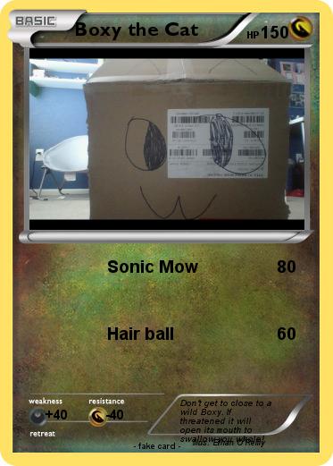 Pokemon Boxy the Cat