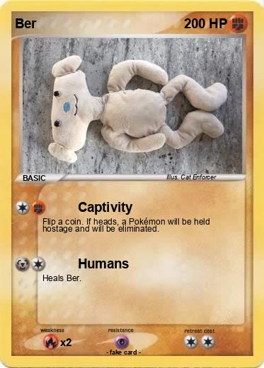 Pokemon Ber