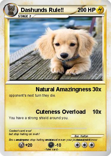 Pokemon Dashunds Rule!!