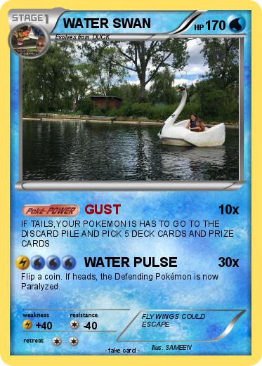 Pokemon WATER SWAN