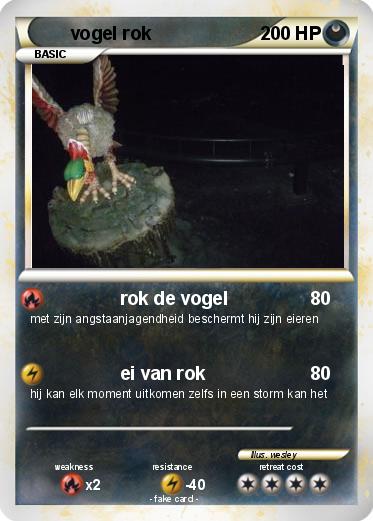 Pokemon vogel rok