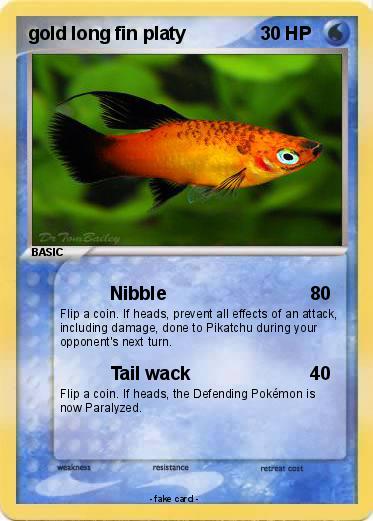 Pokemon gold long fin platy
