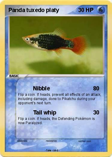 Pokemon Panda tuxedo platy
