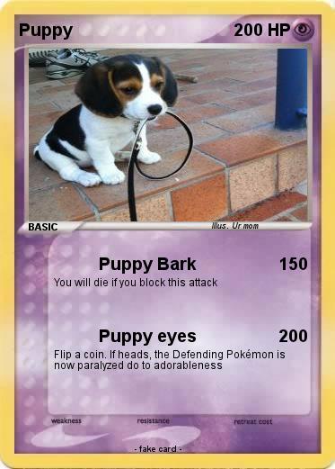 Pokemon Puppy