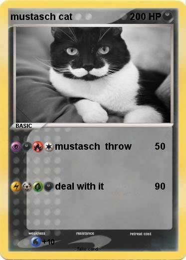 Pokemon mustasch cat