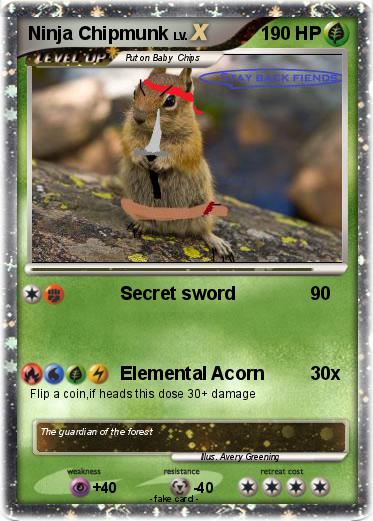 Pokemon Ninja Chipmunk