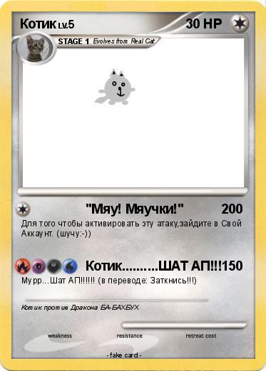 Pokemon Котик
