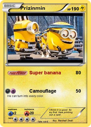 Pokemon Prizinmin