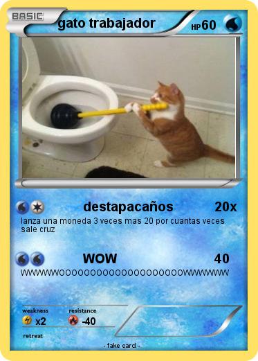 Pokemon gato trabajador