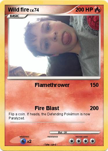 Pokemon Wild fire