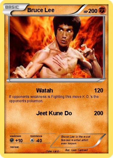 Pokemon Bruce Lee