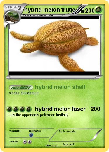 Pokemon hybrid melon trutle