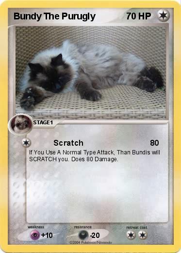 Pokemon Bundy The Purugly