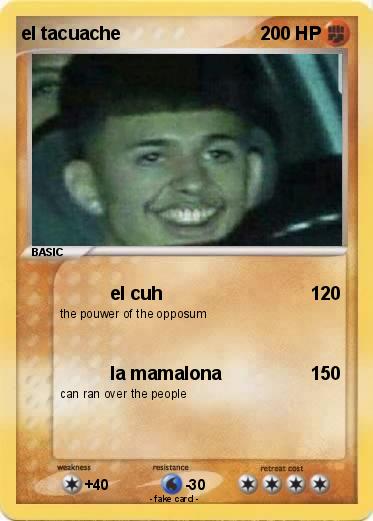 Pokemon el tacuache