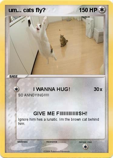 Pokemon um... cats fly?