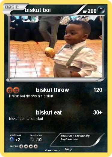 Pokemon biskut boi