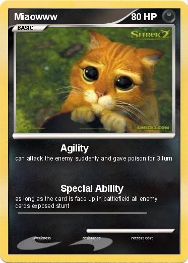 Pokemon Miaowww