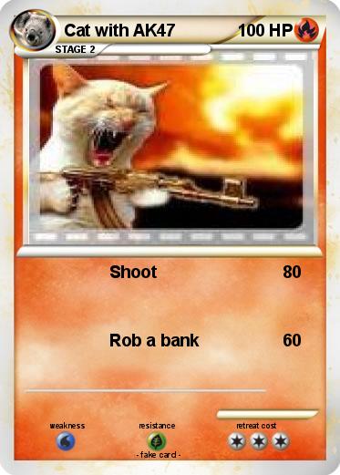 Pokemon Cat with AK47