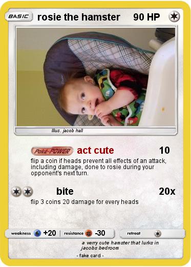 Pokemon rosie the hamster