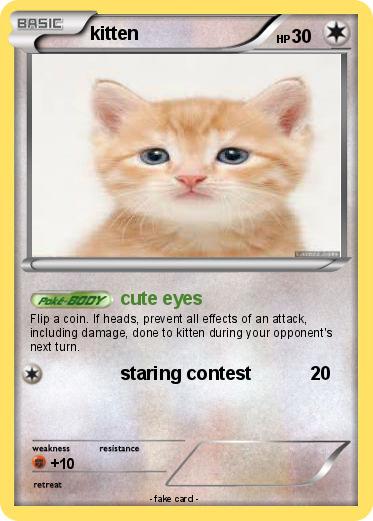 Pokemon kitten