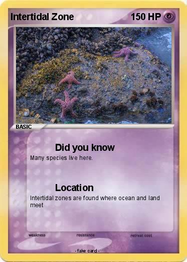 Pokemon Intertidal Zone
