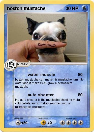 Pokemon boston mustache